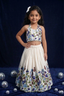 Vasant Vihar Girls Khadi Cotton Embroidery Outfit