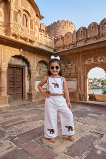 Little Gaj Girls Cambric Cotton Co-ord Set with Hathi Patch