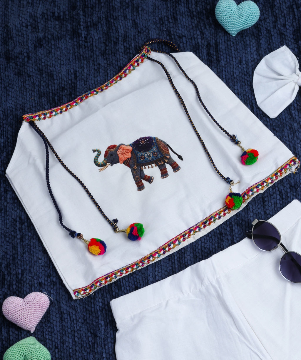Little Gaj Girls Cambric Cotton Co-ord Set with Hathi Patch